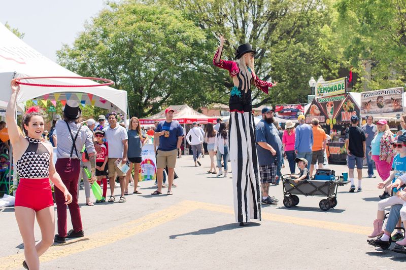 Costume Contests For Pets And People