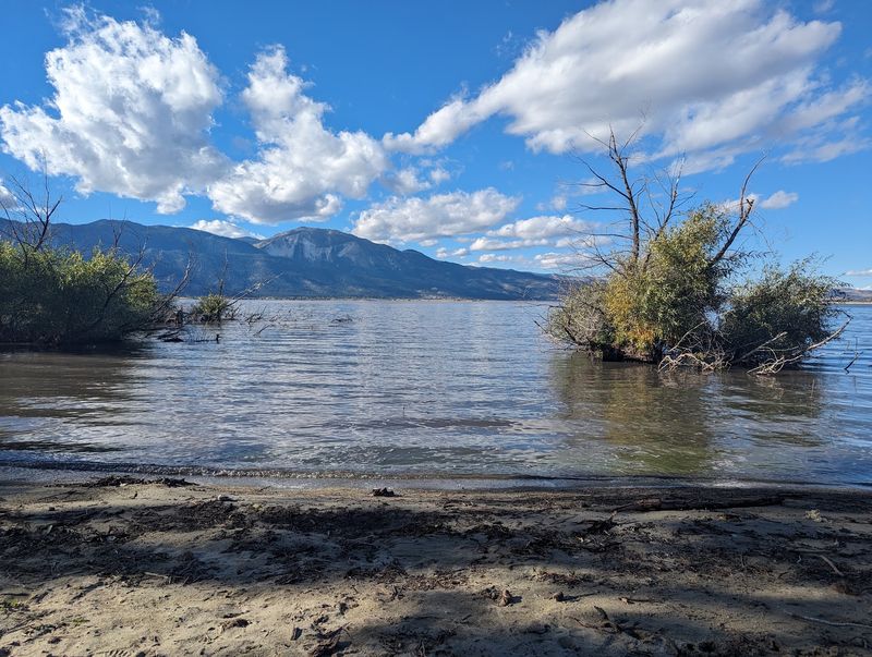 Cast A Line For Catfish, Wipers, And Even Brown Trout