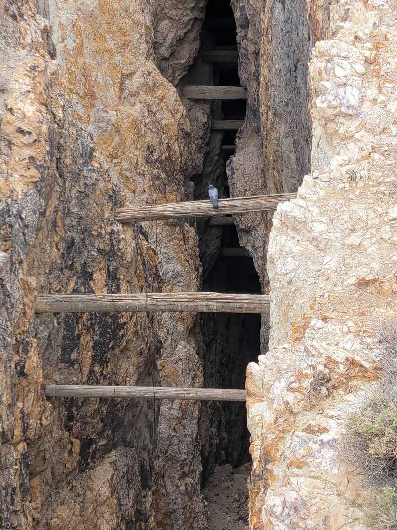 Your Stomach Will Flip Over These 500-Foot Drops