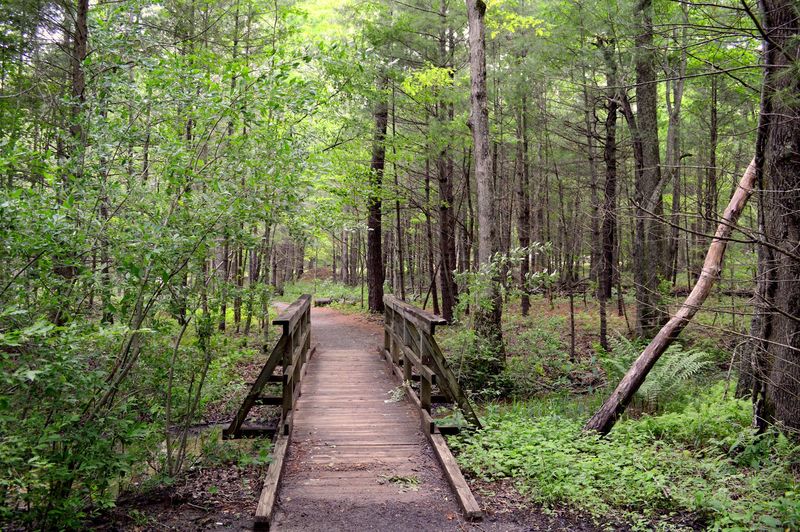 A Loop Trail That Keeps Things Easy