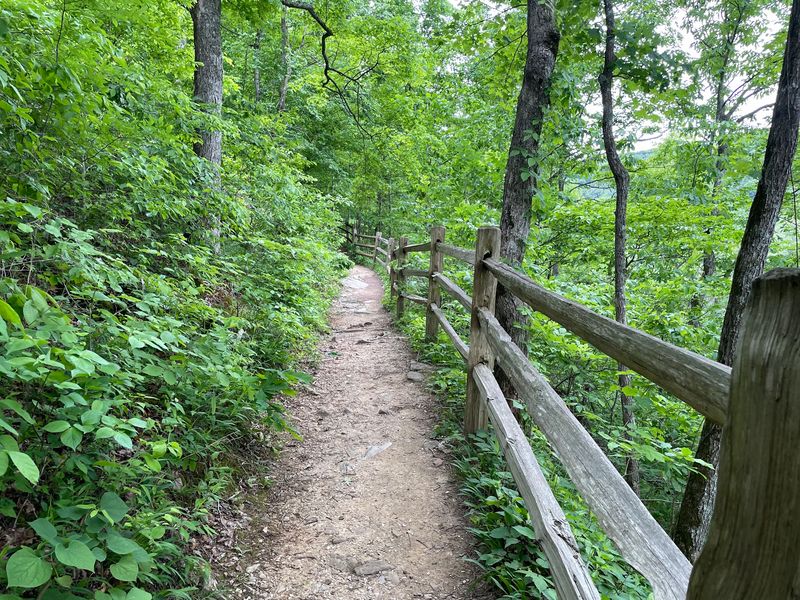 You Are Basically Strolling Across The Roof Of The World's Longest Cave