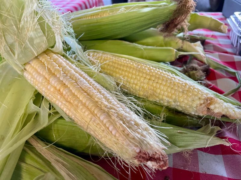 Tupelo Farmers Market at The Depot