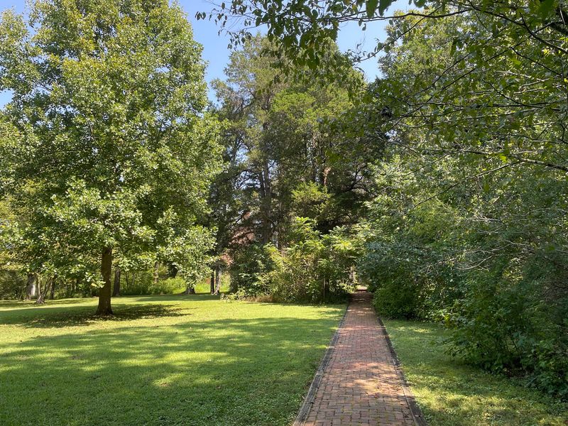 Strawberry Plains Audubon Center, Holly Springs, MS