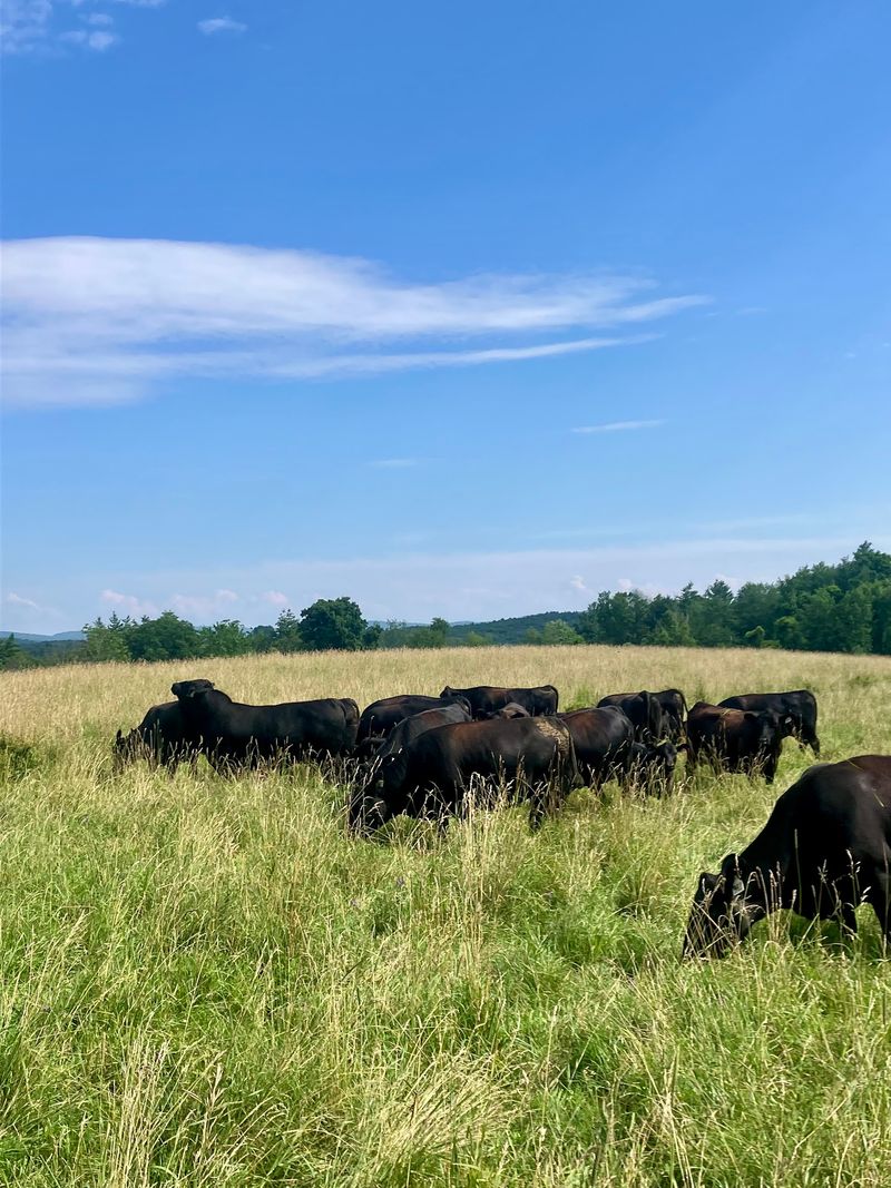 Kinderhook Farm
