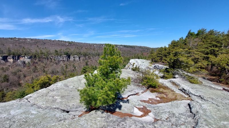 Sun Ledges Of Minnewaska State Park Preserve
