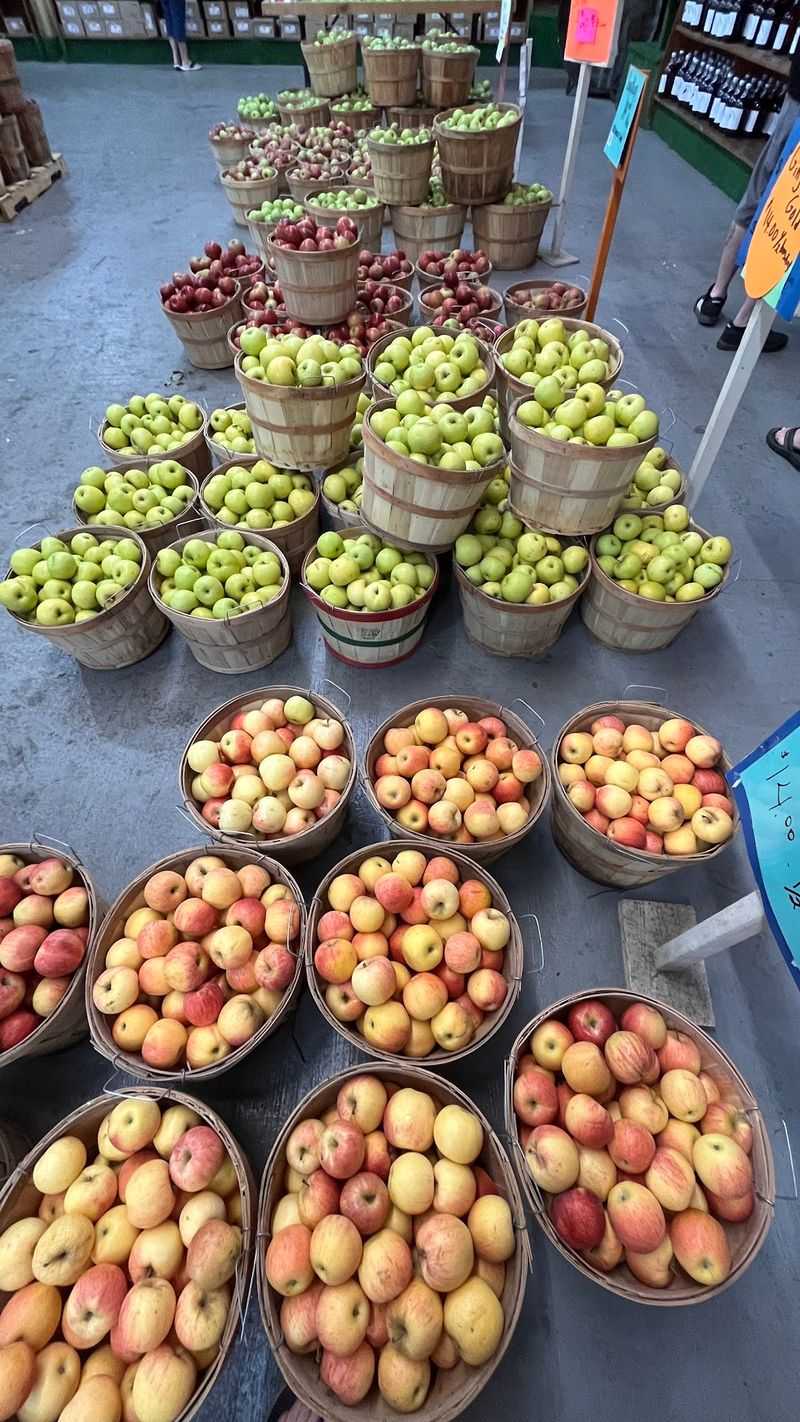 Carver's Orchard