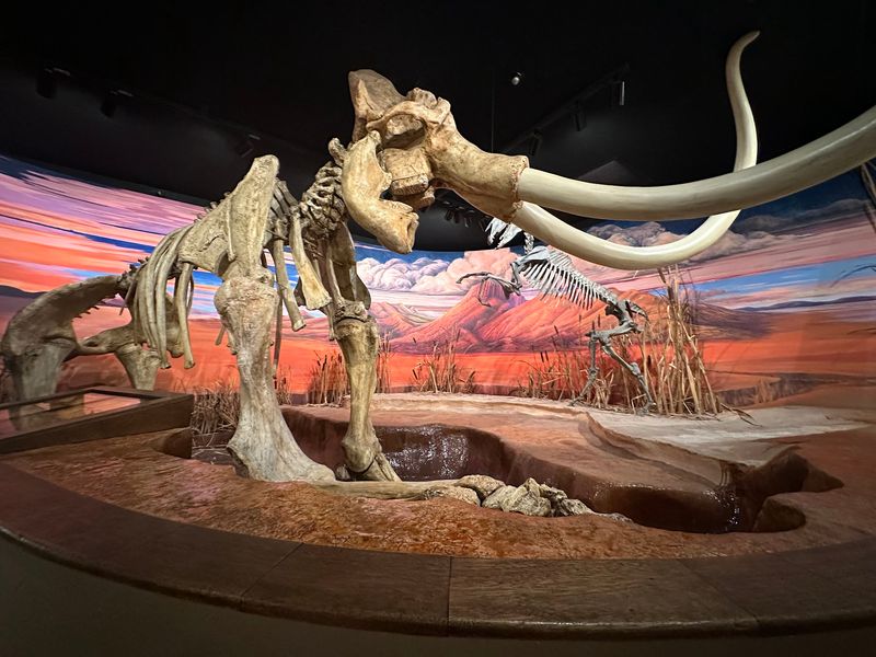 Mammoth in the Black Rock Desert Scene