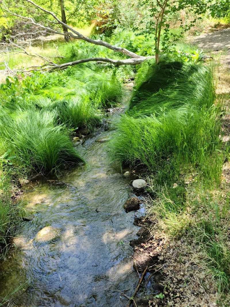 Your Visit Begins At A Surprisingly Green Oasis