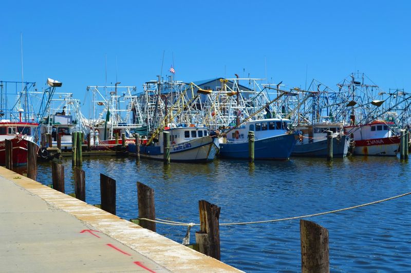 A Working Harbor Behind the Casino Lights