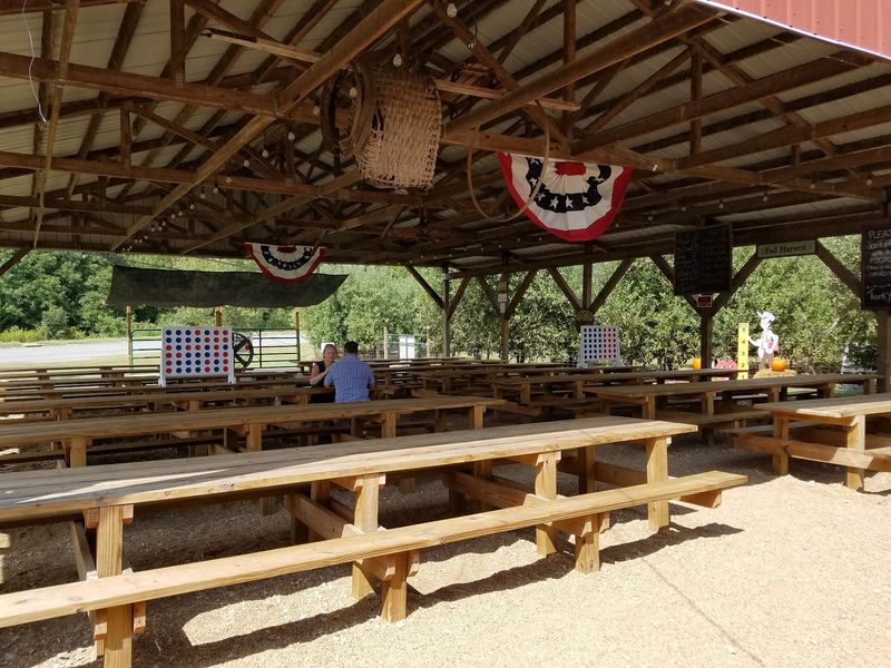 Potbellied Pigs Might Upstage Your Picnic