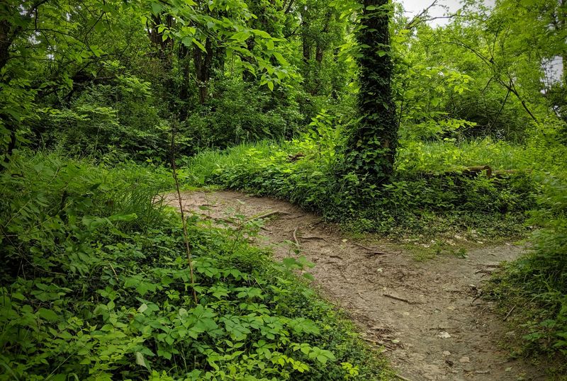 Nine Miles Of Flowy Dirt Will Keep Your Legs Honest