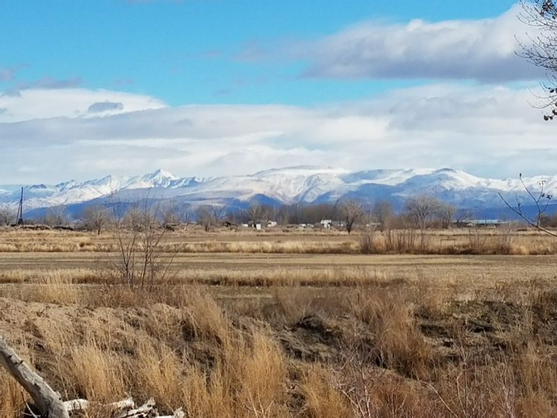 Meet The Great Basin Basket Farm Share