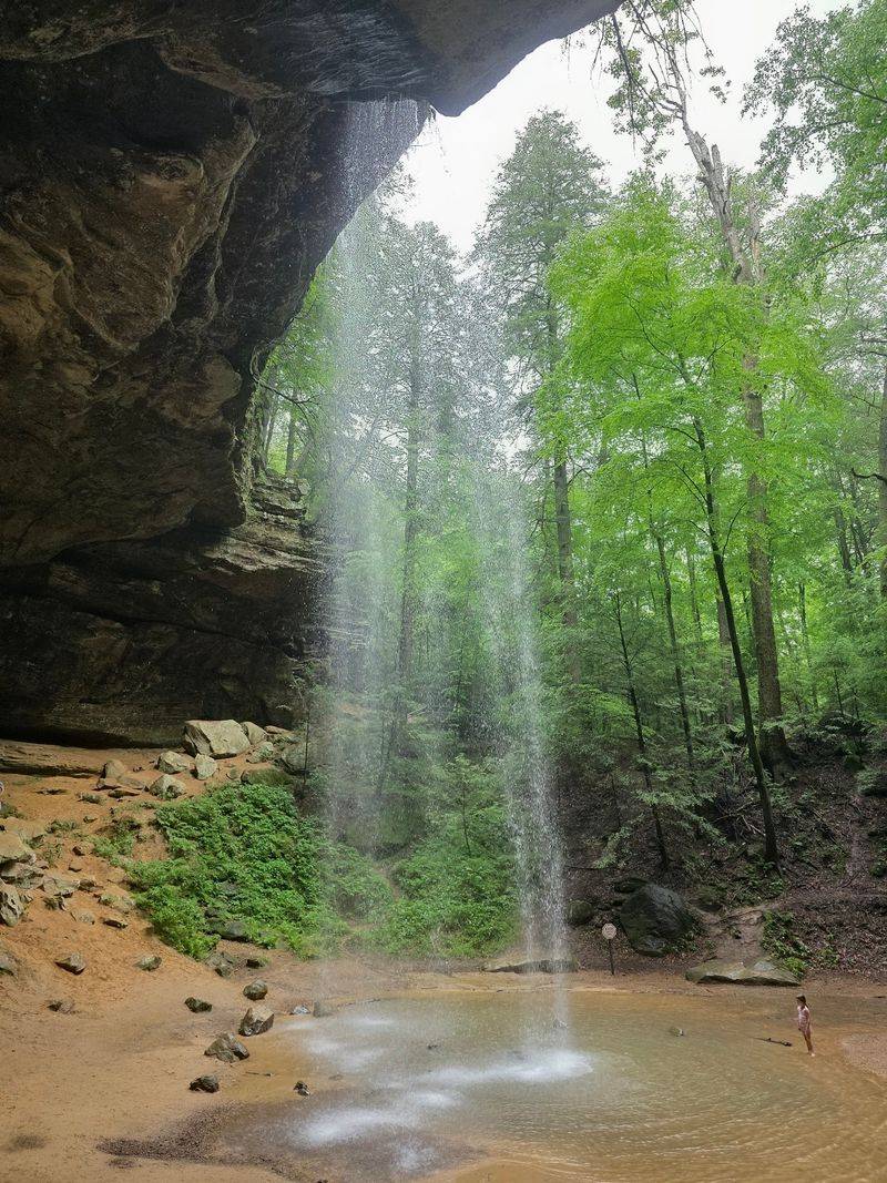Waterfalls and Wildflowers Through the Seasons