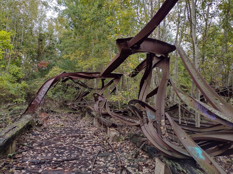 Rusty Relics Hiding In The Woods