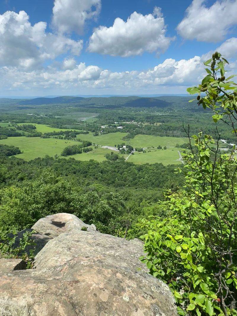 Pinwheel Vista Steals The Show