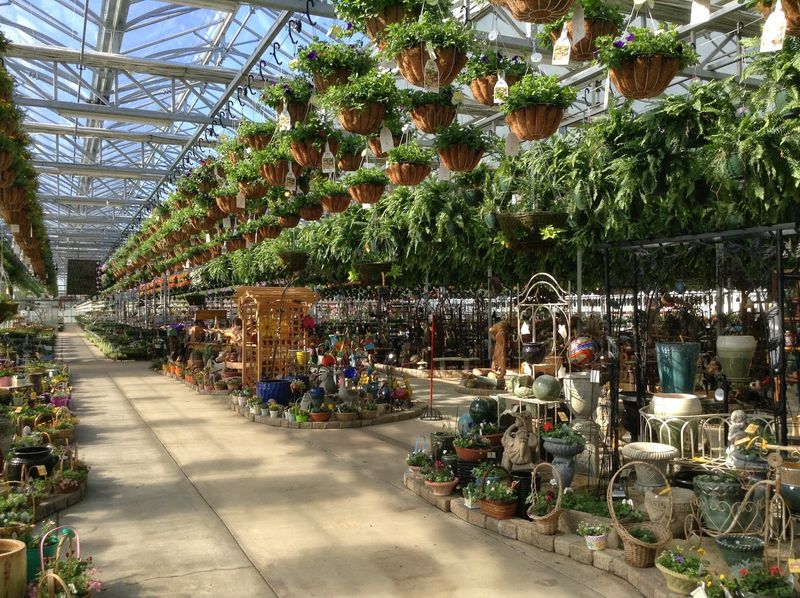 Grab A Cart Because This Place Covers Acres Under Glass
