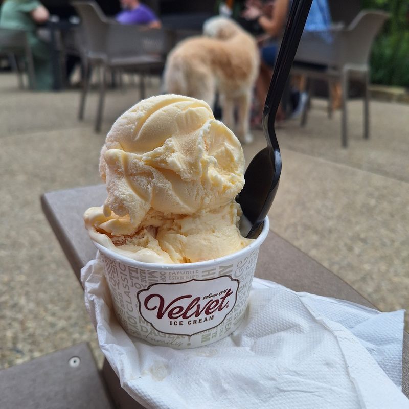 Scooping Up More Than 40 Flavors