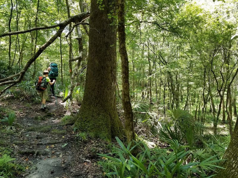 Lace Up for the Torreya Hiking Trail