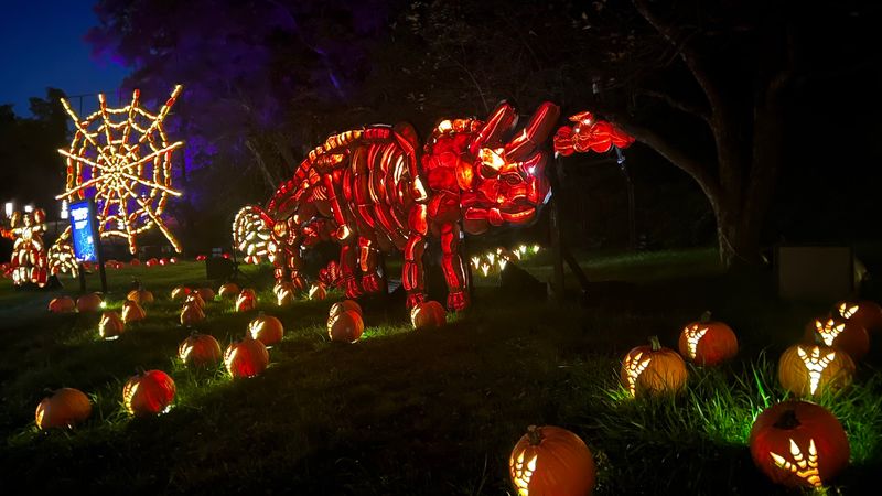Brand New Monsters And Storybook Friends Join The Lineup