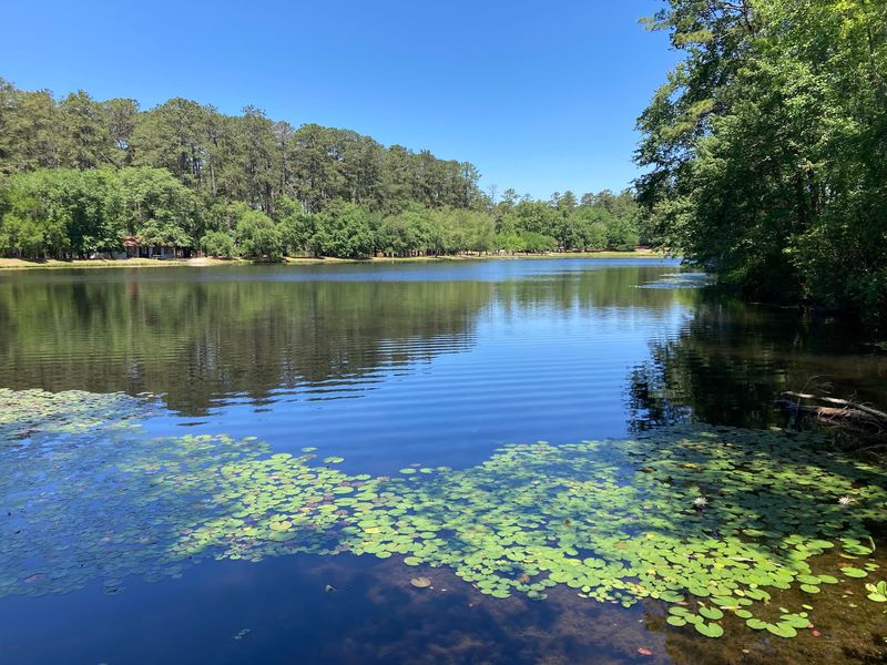 You Can Thank 1930s Work Crews For This Beautiful Place