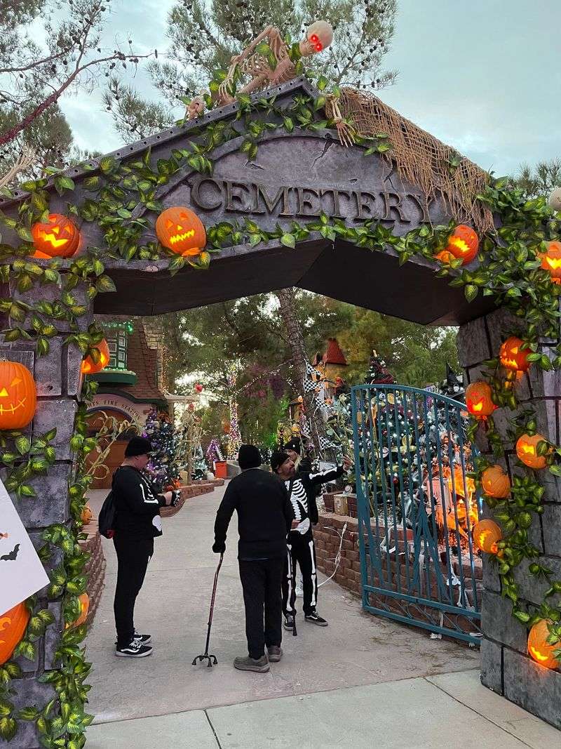 A Forest Built For Little Trick-or-Treaters