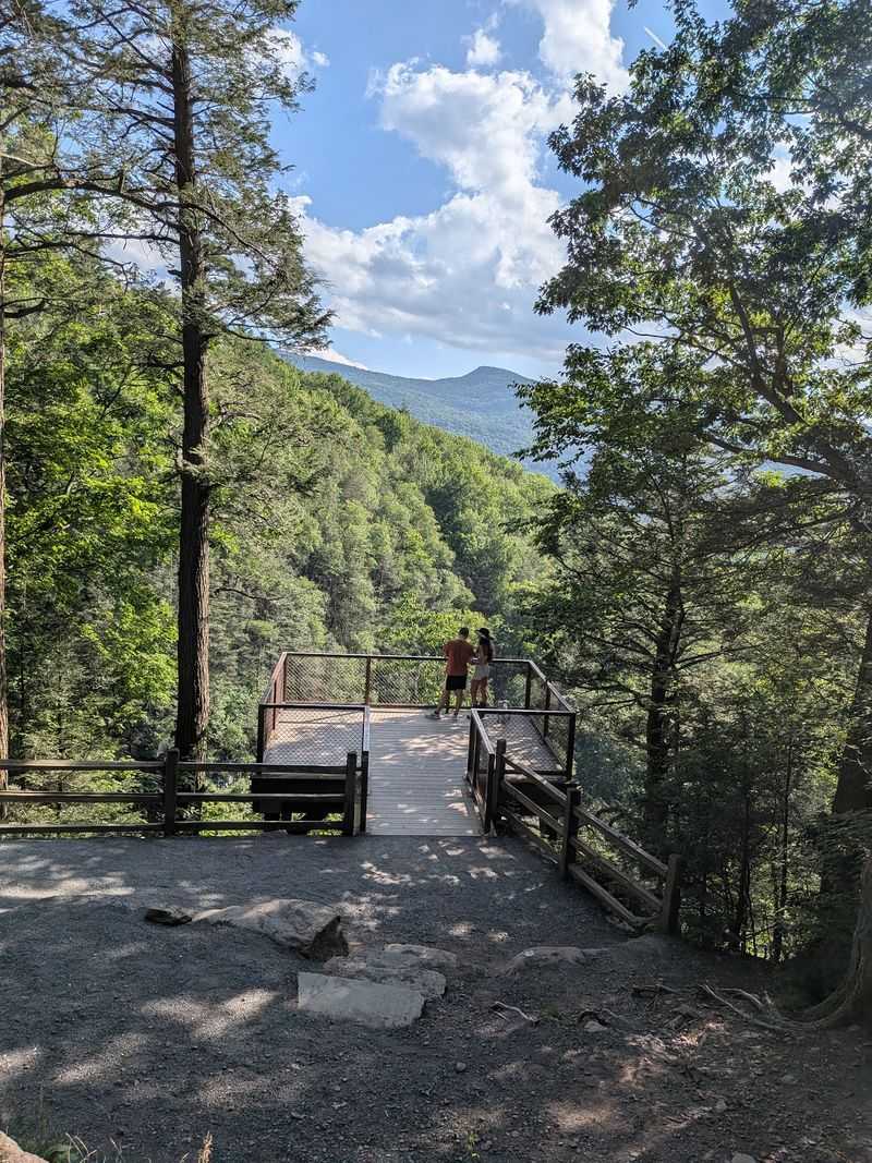 Day Trippers And Little Naturalists Get In On The Fun