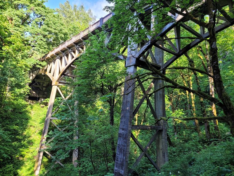 A Century-Old Bridge Frames The Lower Falls