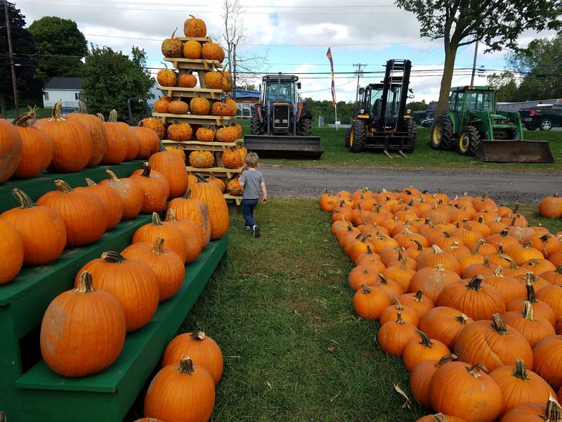 Where Autumn Throws Its Biggest Party