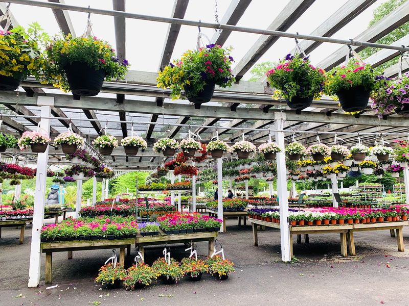 A Green Kingdom Worth The Drive