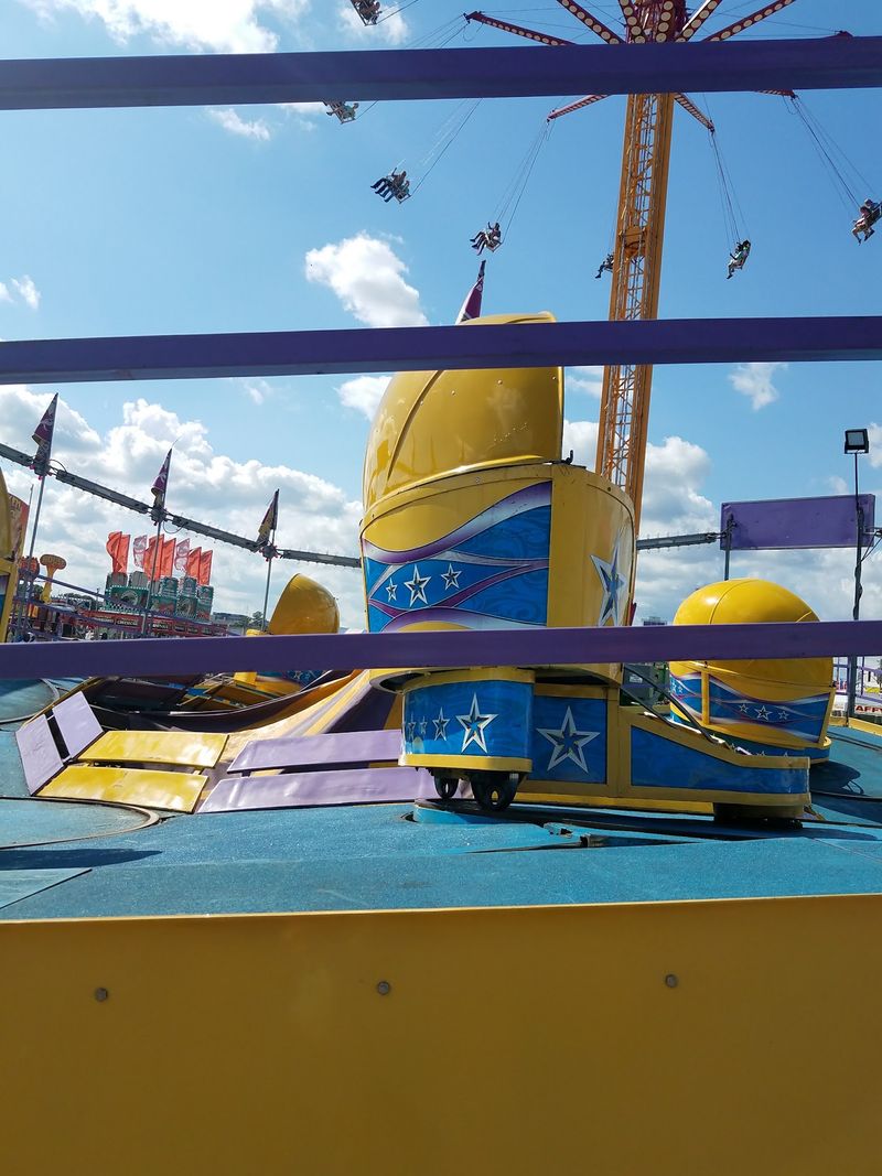 Petting Zoos, Pig Races, and Sideshow Fun