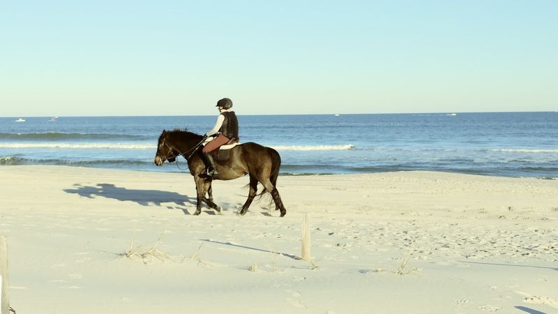 Kayaks Fishing Rods And Horseback Rides