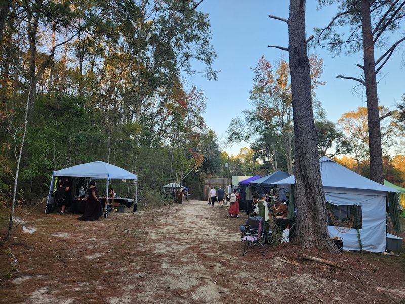 Fairground Hidden in the Rolling Hills of George County