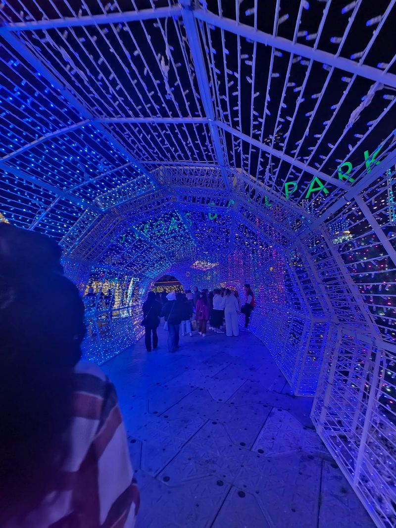You Can Wander The World's Largest Christmas Light Maze