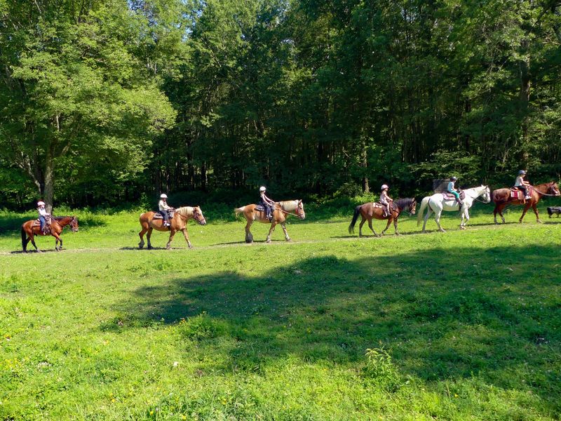 Your Trail Ride Comes With A Whole Landscape Attached