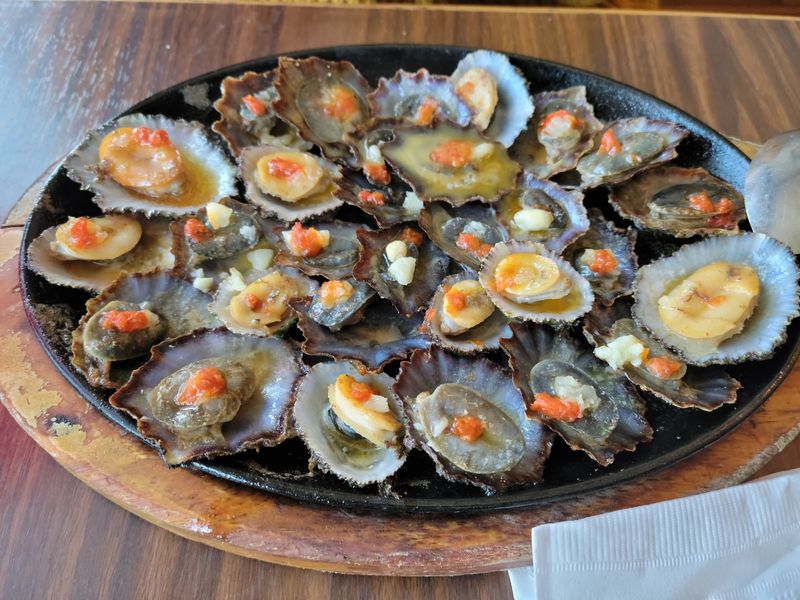 Those Tiny Limpets Deserve Your Full Attention