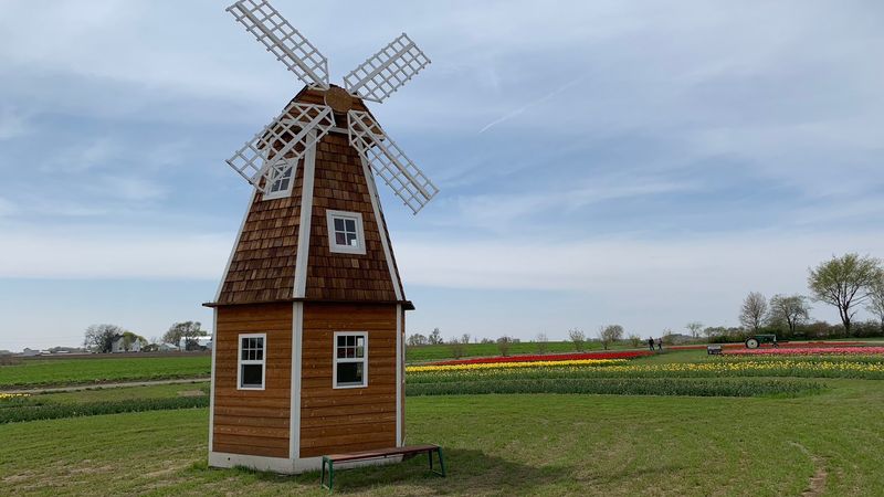 Kuipers Family Farm, Maple Park, IL