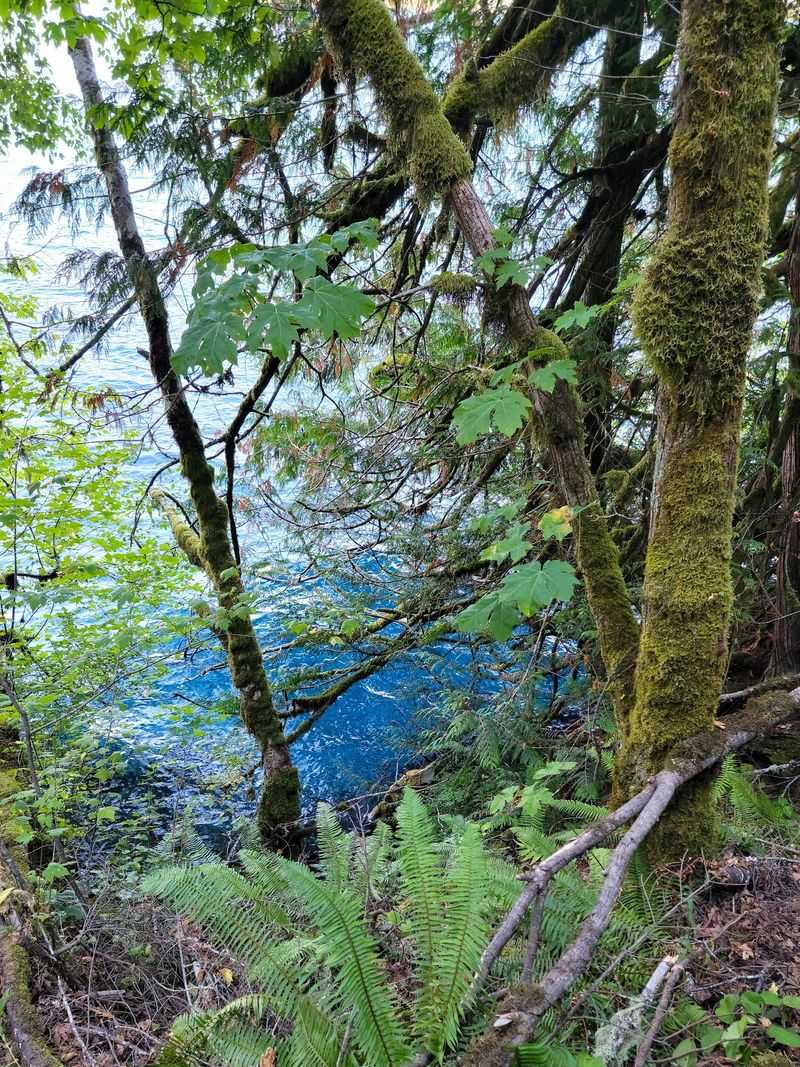 Chasing The Roar Of Marymere Falls