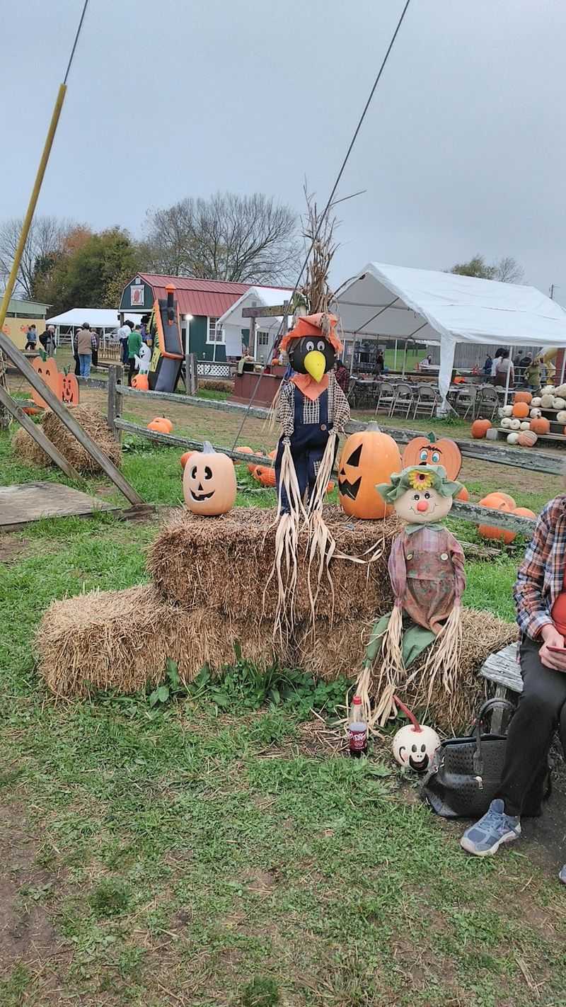 Shuckle's Corn Maze & Pumpkin Patch