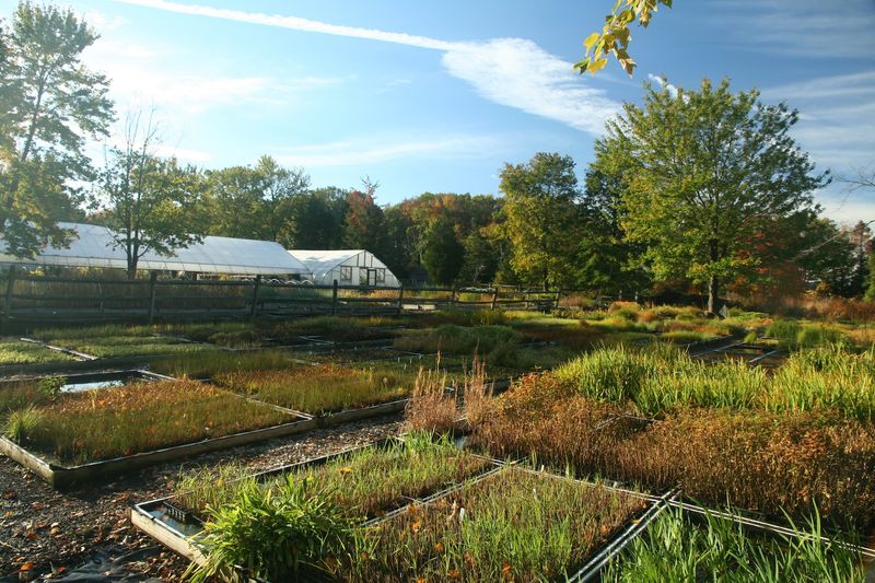Tropical Greenhouse Spa