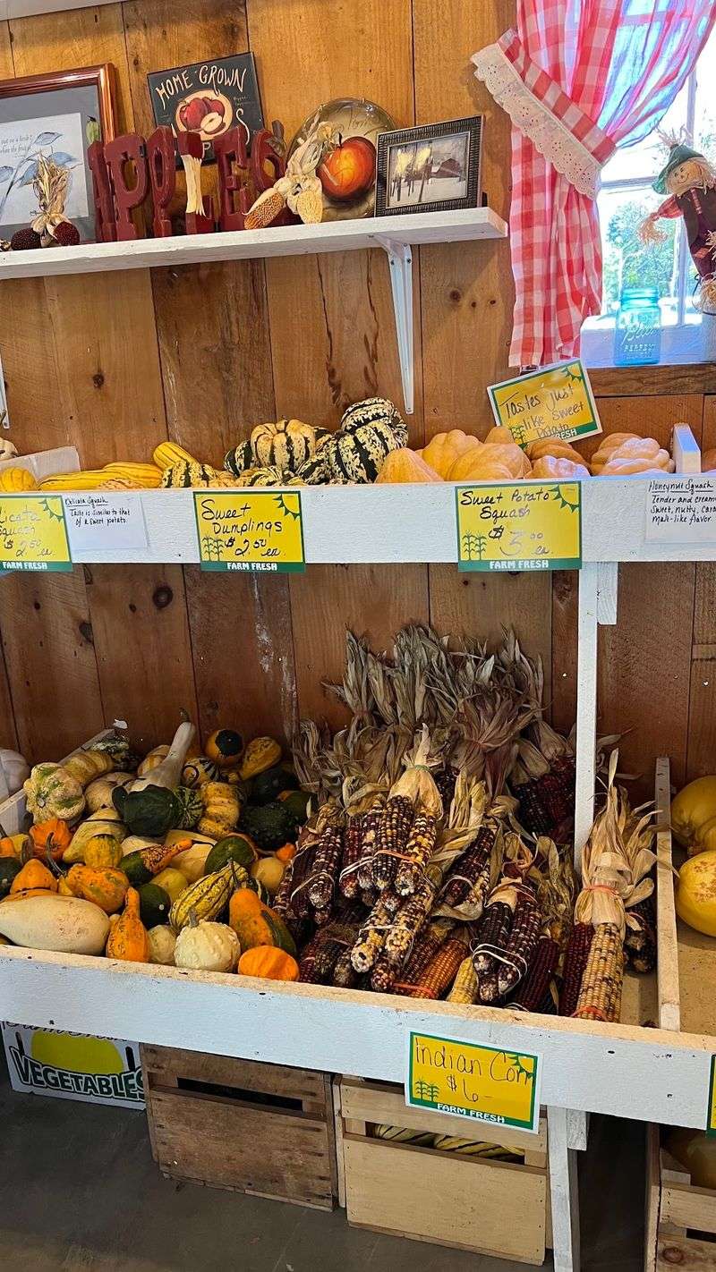 A Century Of Sweet Roots