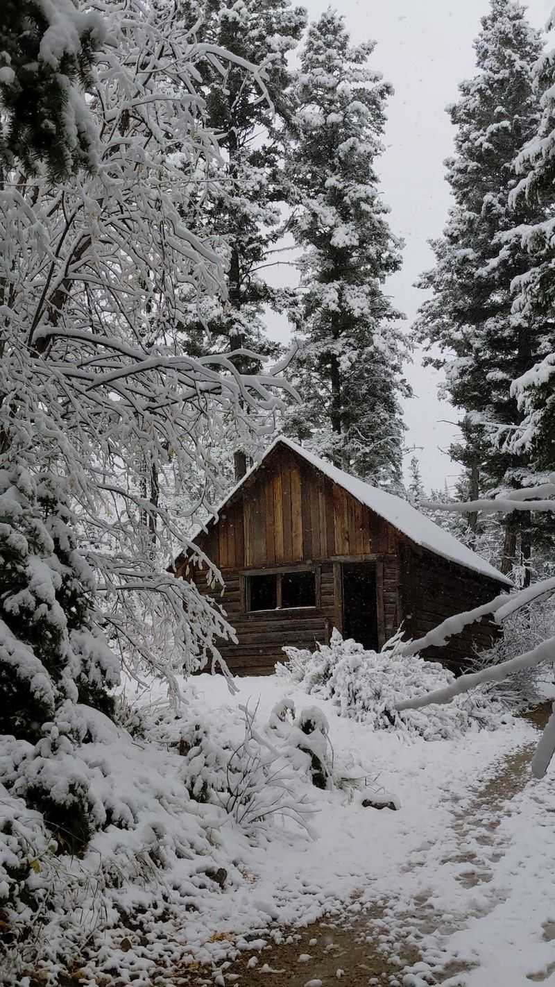 Winter Cabins And Snowy Adventures