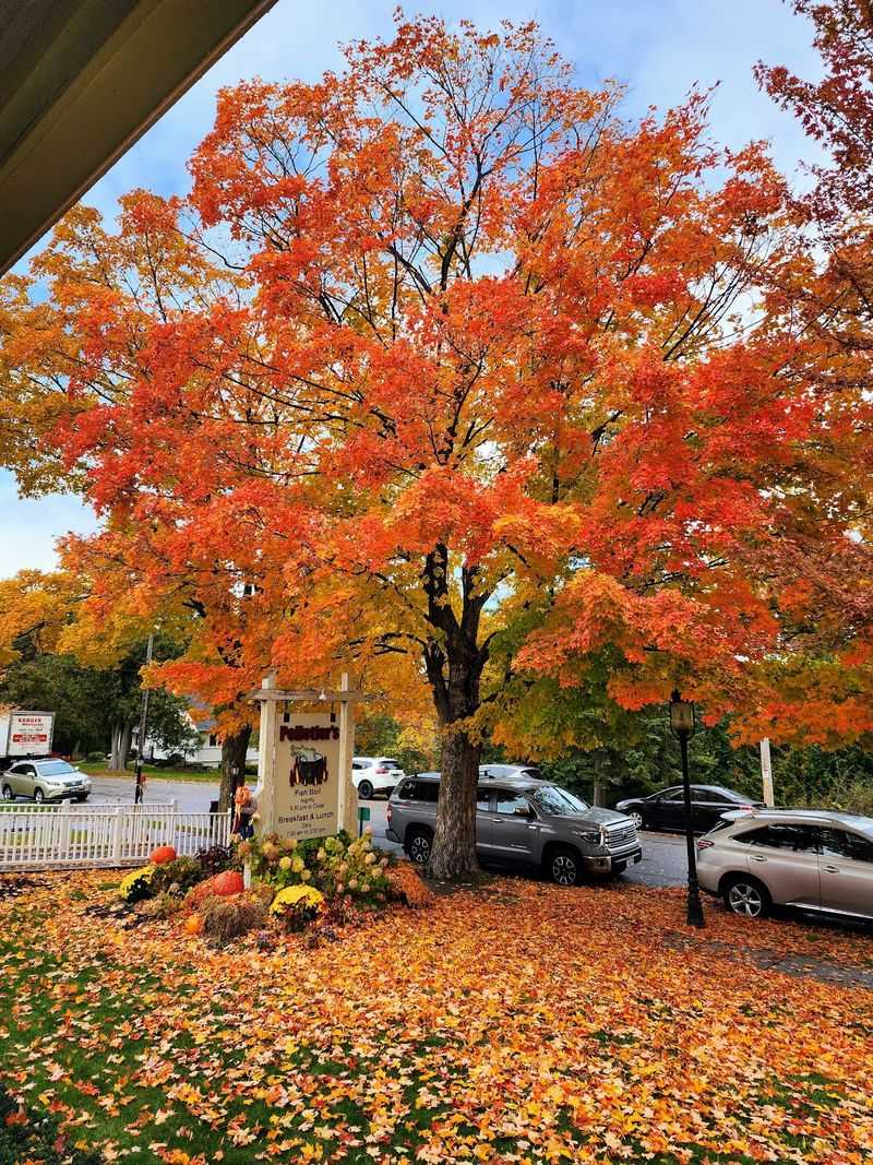 Meet The Village That Turns Orange Every October