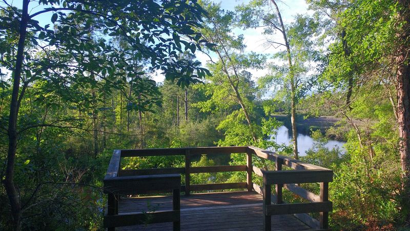 A Pocket Refuge On The Mississippi Coast
