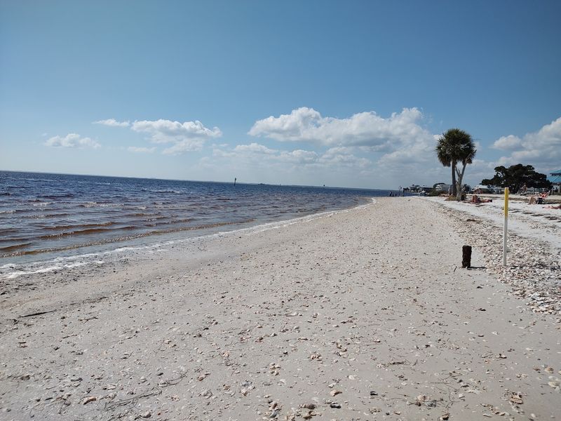 Shell Point Beach
