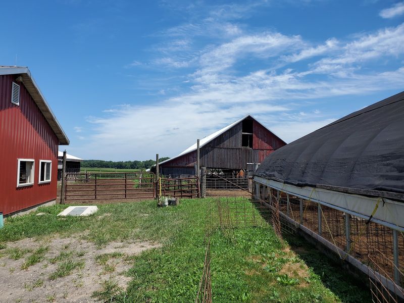 Hastings Farm LLC