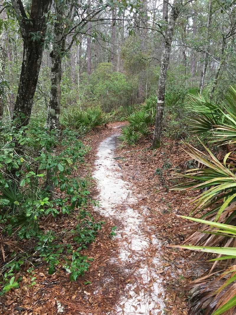 The Red Loop And Its Longer Ramble