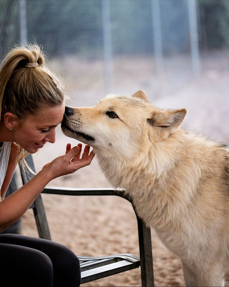 The Wolves Decide Who Gets A Hello