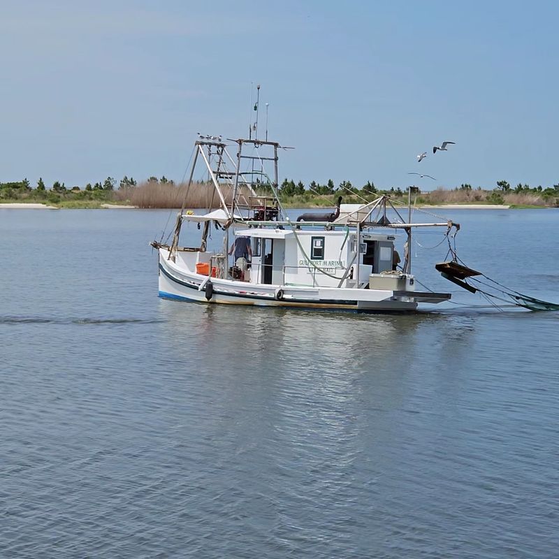 A Working Boat Tour on Beach Boulevard