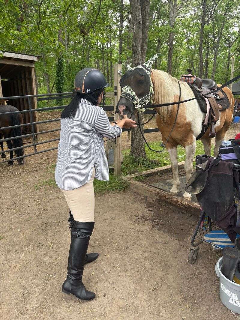 Grab A Brush Because Your Horse Expects A Proper Hello