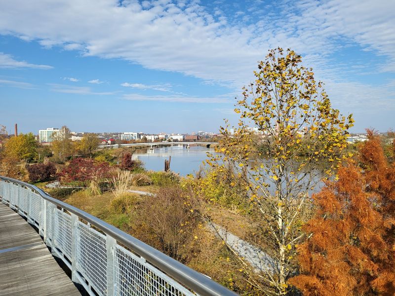 Meet Delaware's Favorite Riverside Ribbon